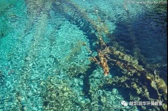 越華·潤華環(huán)保為您播報——水質等級和污水處理標準